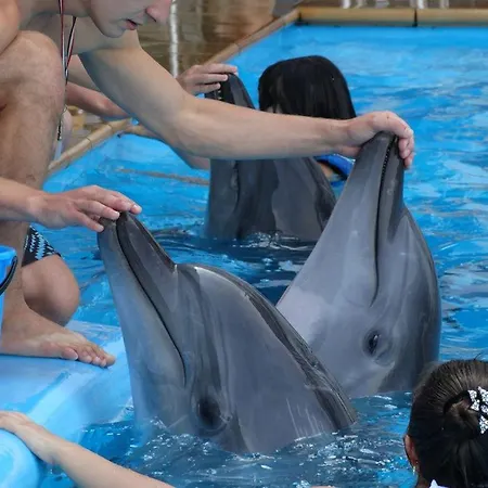 на пляже отрада, французский бульвар просторный 2 комн Luxury , центр жк париж Appartement *