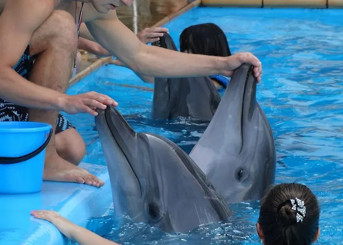 на пляже отрада, французский бульвар просторный 2 комн Luxury , центр жк париж Appartement *